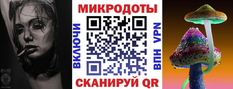 Галлюциногенные грибы Psilocybe  купить наркотик  Беломорск 